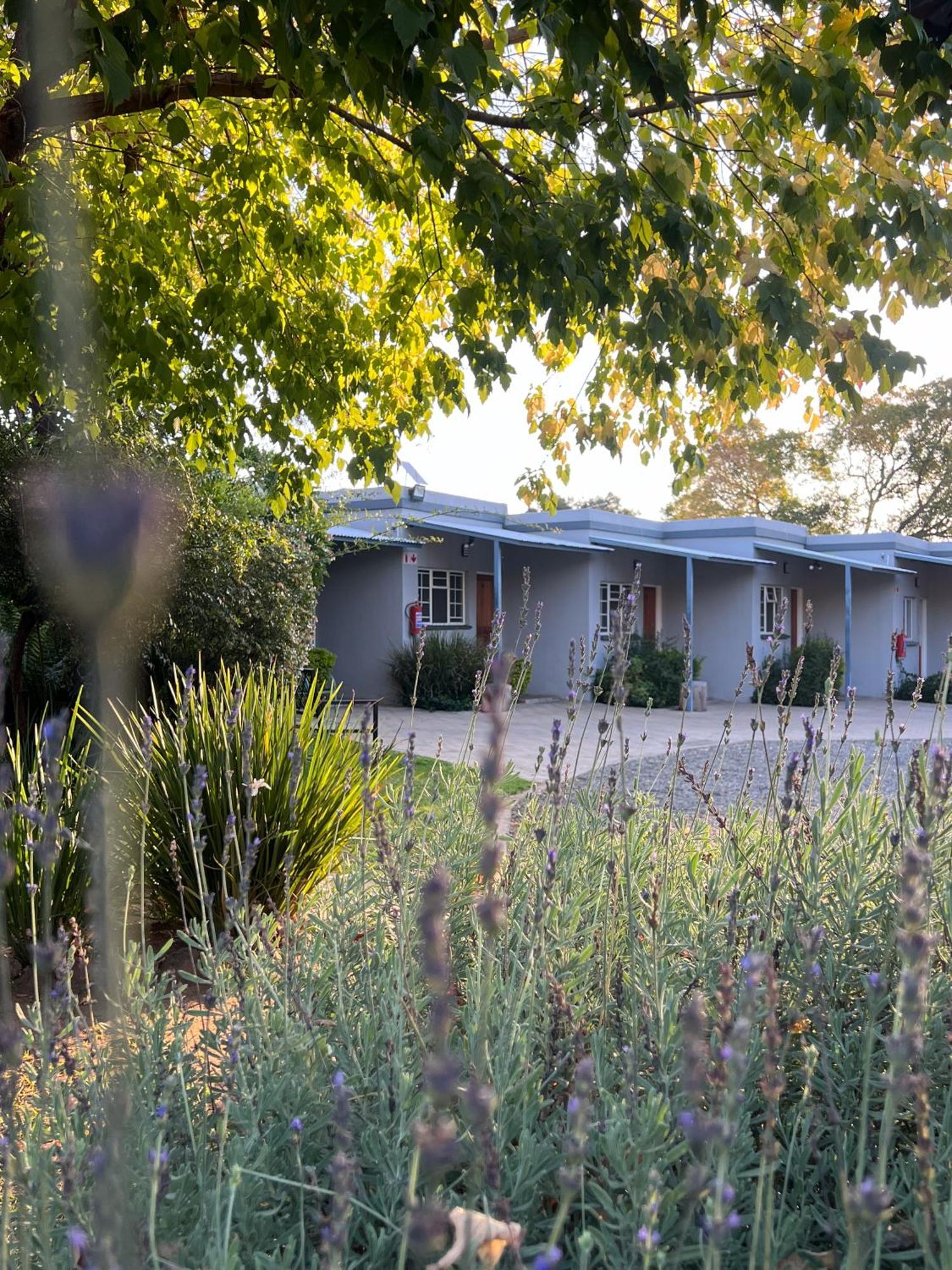 Patterson B&B Newcastle Extérieur photo